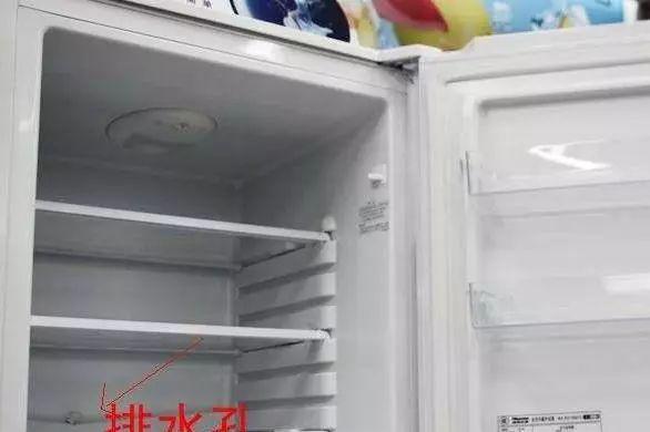 冰箱排水管的位置及维护方法（寻找冰箱排水管的方法及清洁建议）
