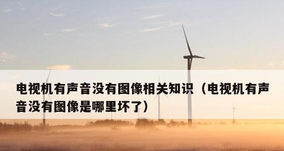 电视图像颠倒的原因及解决办法（为什么电视会出现图像颠倒）