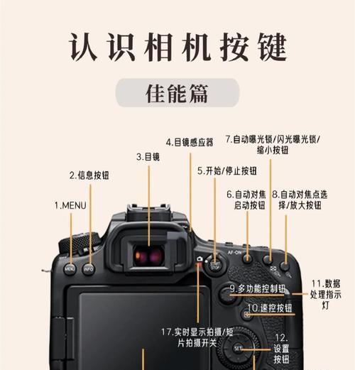 小多单反相机使用教程视频哪里找？